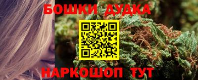 PSILOCYBIN Пугачёв