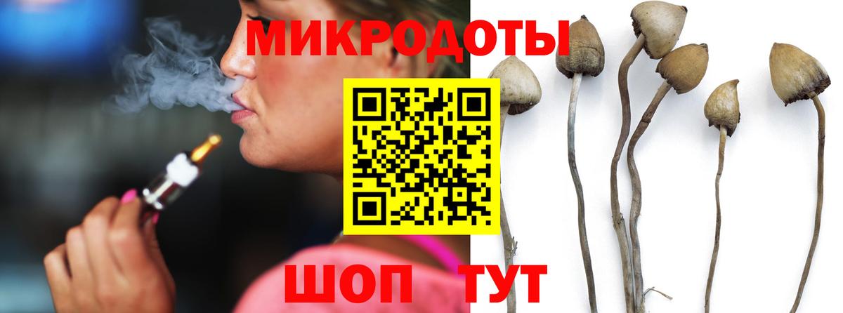 купить   Вход с VPN  Челябинск  Галлюциногенные грибы мицелий 